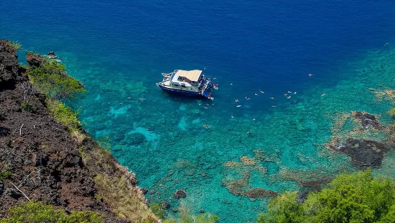 Il miglior snorkel mattutino di Kona: Captain Cook e Kealakekua Bay