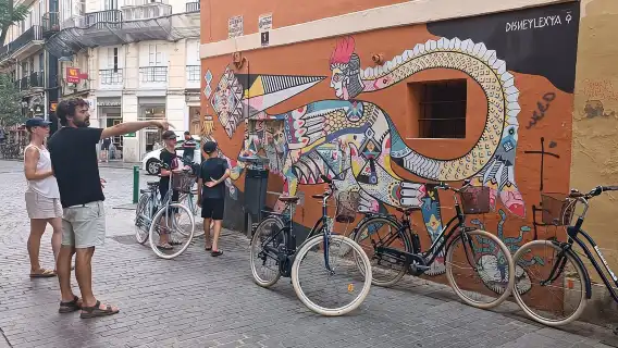 Valencia Street Art | Private Tour by Bike or Electric Ride