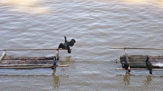 新安江山水畫廊純玩跟團半日遊