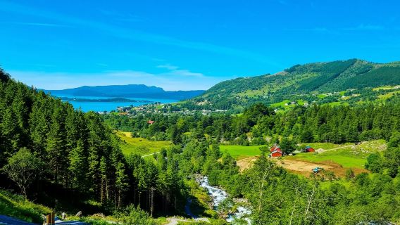 Norway Bergen to Rosendal Cruise One-way/Round-trip (Enjoy Hardangerfjorden)
