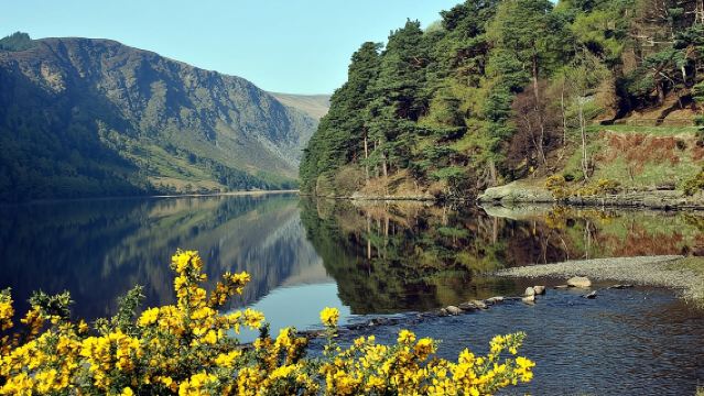 Dublin to Powerscourt, Wicklow and Glendalough Small Group Tours