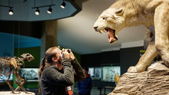Entrada a los pozos de brea y museo de La Brea con recorrido en excavadora