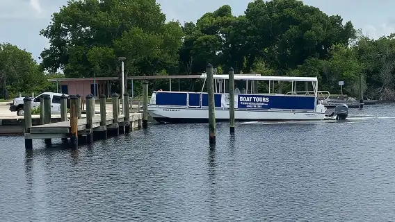 Flamingo Everglades Boat Tours