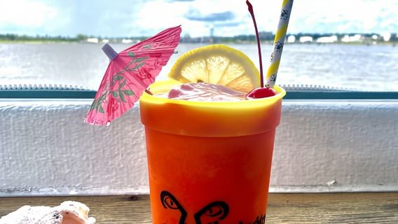 Wilmington: Eagles Island Cruise--Eco-History Cruise