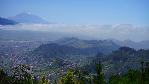 From Puerto de La Cruz: VIP Tour Around Anaga and La Laguna