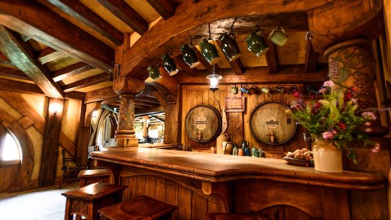 From Auckland: Hobbiton & Waitomo Caves Day Trip with Lunch