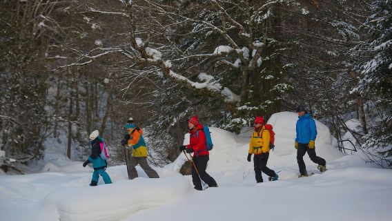 Ciudad de Quebec: Excursión con raquetas de nieve al Parque Nacional Jacques-Cartier