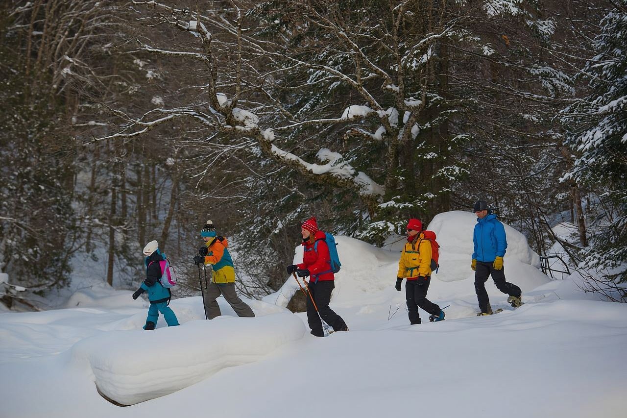 Ciudad de Quebec: Excursión con raquetas de nieve al Parque Nacional Jacques-Cartier