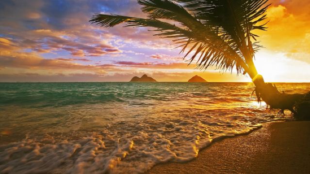 美國-夏威夷歐胡島-古蘭尼牧場-綠龜沙灘-侏羅紀取景地包車遊