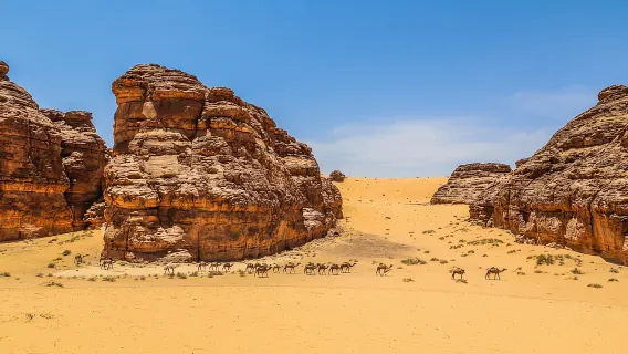 From AlUla: Hegra Tour