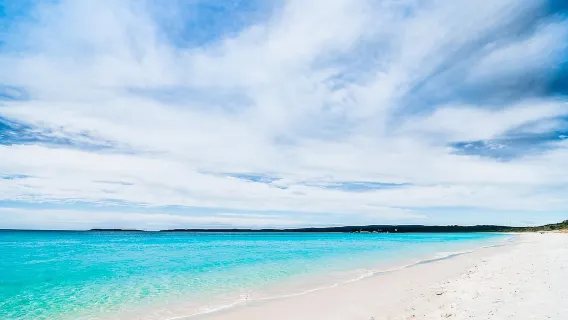 시드니 출발: 포트 스티븐스 당일 여행