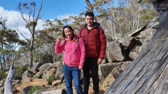 Da Hobart: tour mattutino a piedi del Monte Wellington