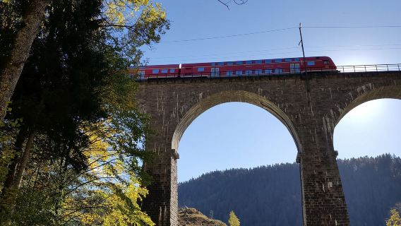 Foresta Nera: escursione alla gola di Ravenna, autoguidata
