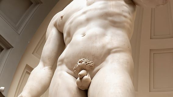 Florence : visite guidée coupe-file de la Galerie de l'Académie