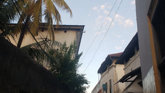 Zanzibar: Tur Jalan Kaki Kota Batu dengan Pemandu Wisata Warisan Budaya