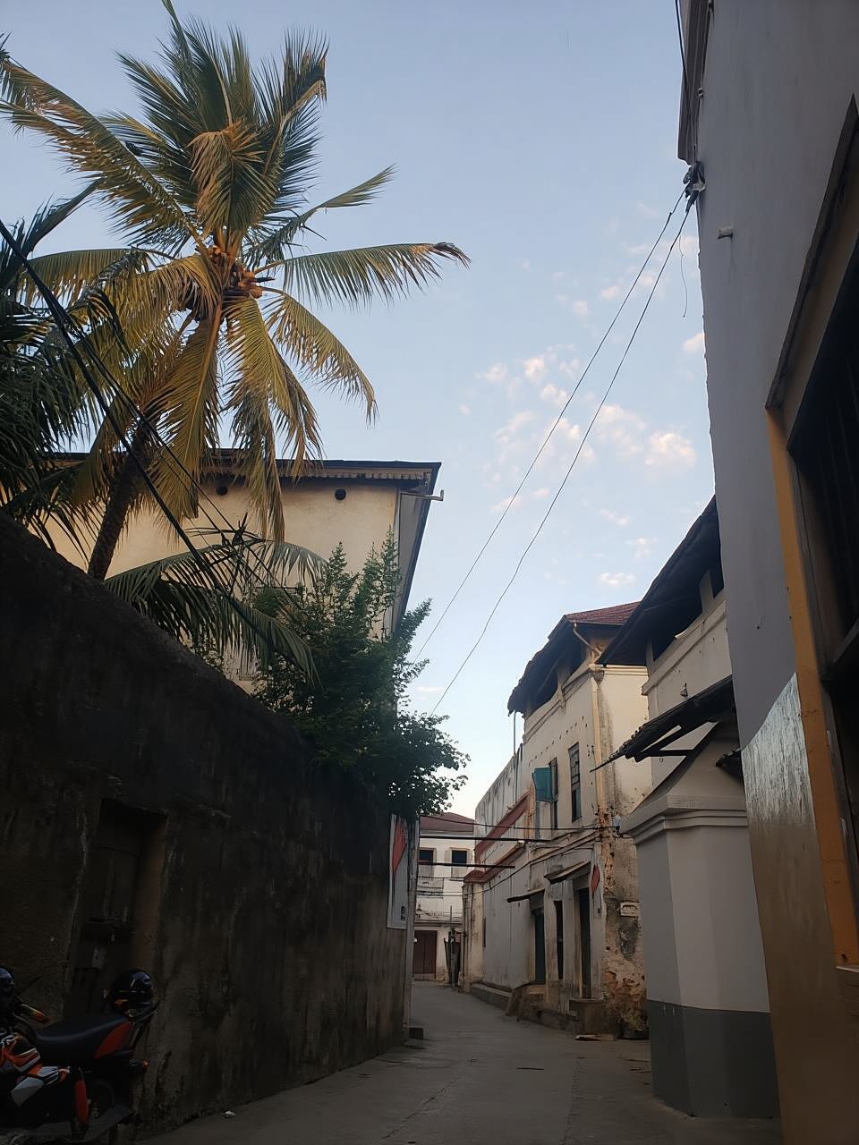 Zanzibar: tour a piedi di Stone Town con guida turistica del patrimonio
