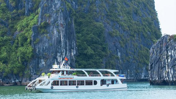 동굴 탐험, 카약, 수영을 포함한 하롱베이 1일 투어 - 알로바 프리미엄 크루즈