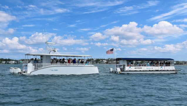Pensacola Beach Jolly Dolphin Cruise and Scenic Bay Tour