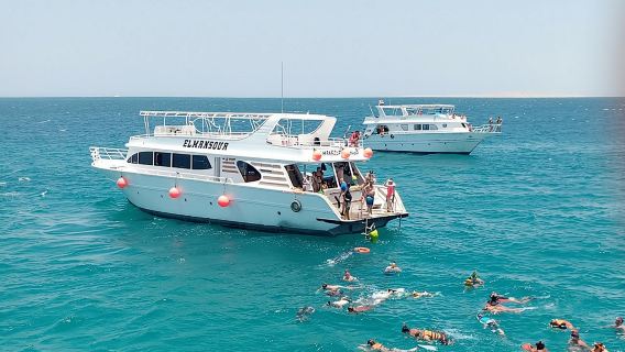 Meet the dolphins in snorkeling tour