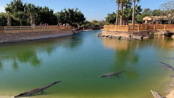 Agadir
