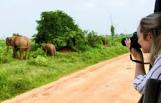 美蕊沙至埃拉班車和烏達瓦拉維野生動物園之旅（含早餐）
