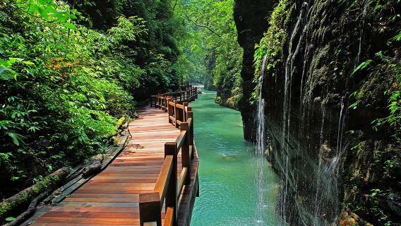 Depart from Chongqing, a private day tour to the hidden Wansheng Black Valley