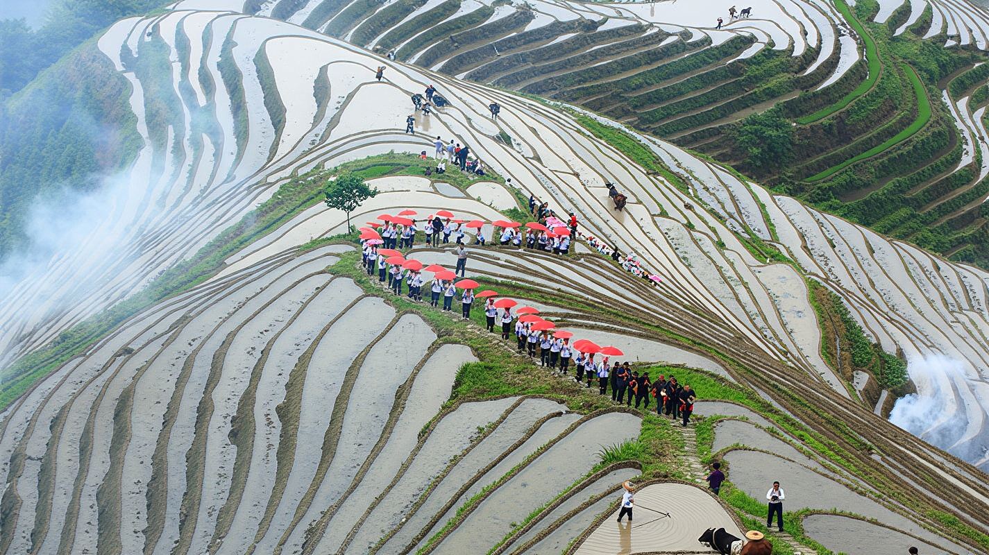 1-Day Private Guided Tour in Spanish or English to the Longji Rice Terraces
