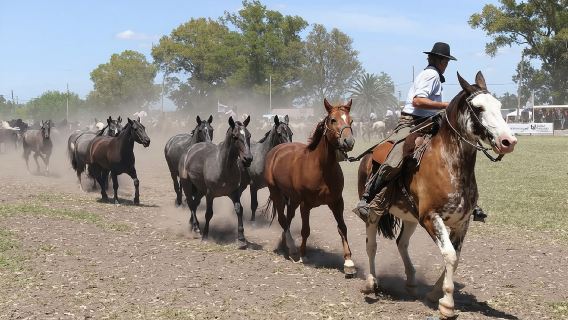 ทัวร์วันเดียว/ทัวร์หลายวัน Estancia Don Silvano จากบัวโนสไอเรส อาร์เจนตินา