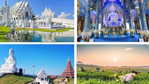 Best Places in Chiang Rai White, Blue, Big Buddha, Tea Plantation