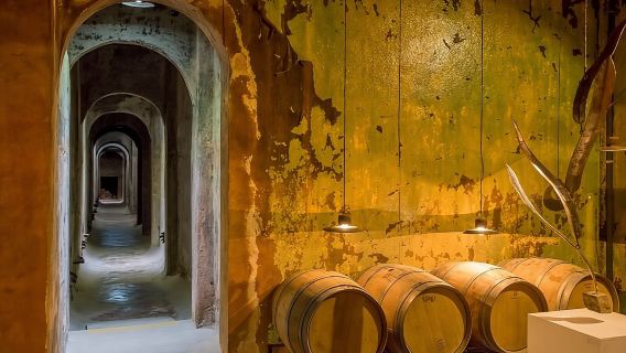 Wine Tour Privado a Colonia Caroya, Córdoba - Argentina