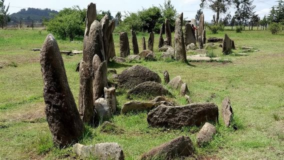 ทริปหนึ่งวันไปยัง Adadi Mariyam, Tiya และ Melka kunture