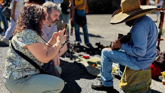 Small group: Teotihuacan, Basilica of Guadalupe and Tlatelolco
