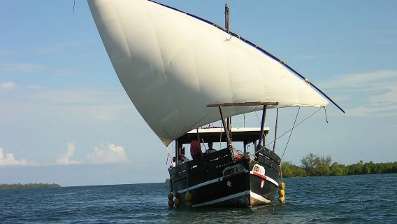 Funzi and Kinazini Islands dhow cruise