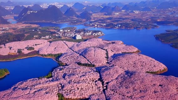 貴州貴陽+甲秀樓+平壩櫻花包車訂製一日遊EA