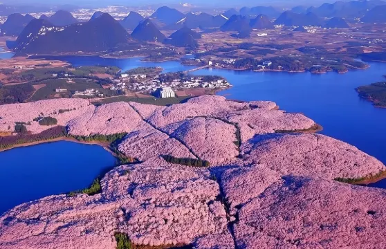 貴州貴陽+甲秀樓+平壩櫻花包車定制一日遊EA