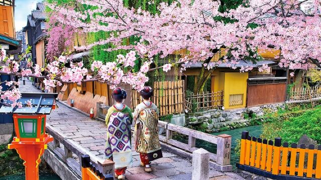 Geisha Streets & "Real Kyoto" Magical Night (w/Kyoto Snack)