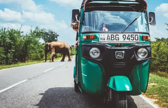 錫吉里亞和丹布勒嘟嘟車或汽車私人一日遊