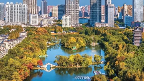 однодневный тур по Хэфэю: индивидуальный индивидуальный трансфер/аренда автомобиля с водителем| Разнообразные достопримечательности | Один заказ, одна группа | Многоязычные гид на китайском, английском и других языках