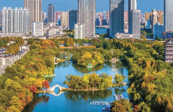 合肥一日遊：定制包車｜景點可調｜一單一團｜中英等多語種導遊#