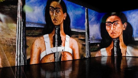 Vincent Hall Budapest: Frida Immersive Exhibition Ticket