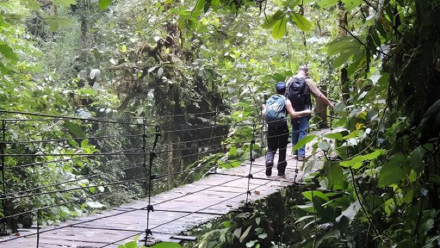 Mindo Cloud Forest Private Day Tour