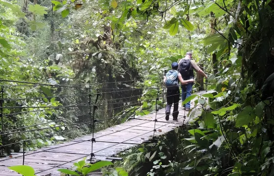 明多雲霧森林私人日遊