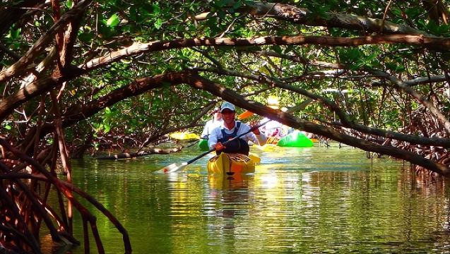 ทัวร์พายเรือคายัคและผจญภัยบนเกาะในฟอร์ตลอเดอร์เดล