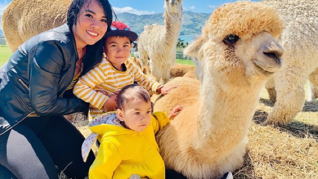 ทัวร์ฟาร์มอัลปากาชามาร์รา