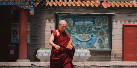 內蒙古博物館+大召寺+公主府一日遊丨本地旅行社丨無購物