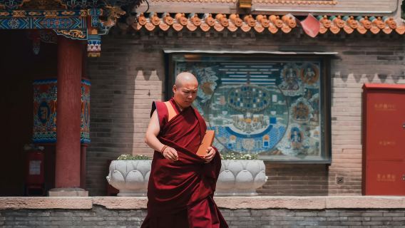 內蒙古博物館+大召無量寺+公主府一日遊丨自家發團丨純玩無購物