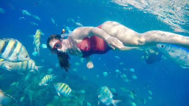 Snorkel privado todo incluido en la playa de Sosua.