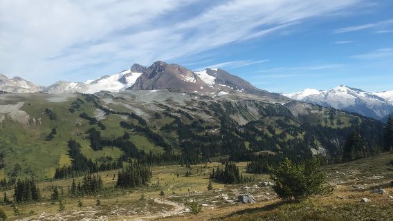 วิสต์เลอร์: ทัวร์เดินป่าบนภูเขาพร้อมนั่งกระเช้ากอนโดลา