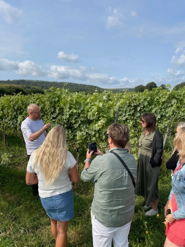 Brighton: Tour đi bộ tham quan vùng rượu vang Sussex kèm nếm thử