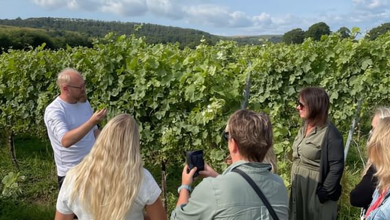 Brighton: Sussex Wine Region Walking Tour with Tastings